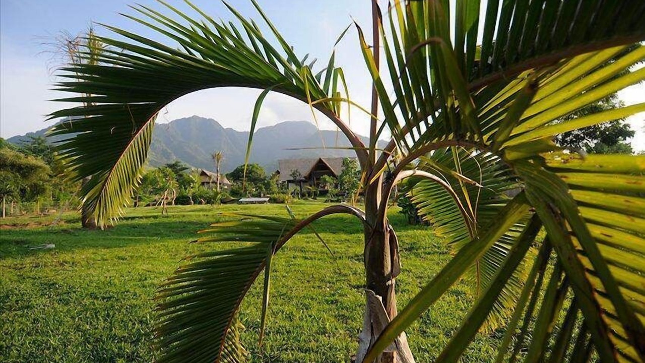 Photo of Outdoor in Tua
