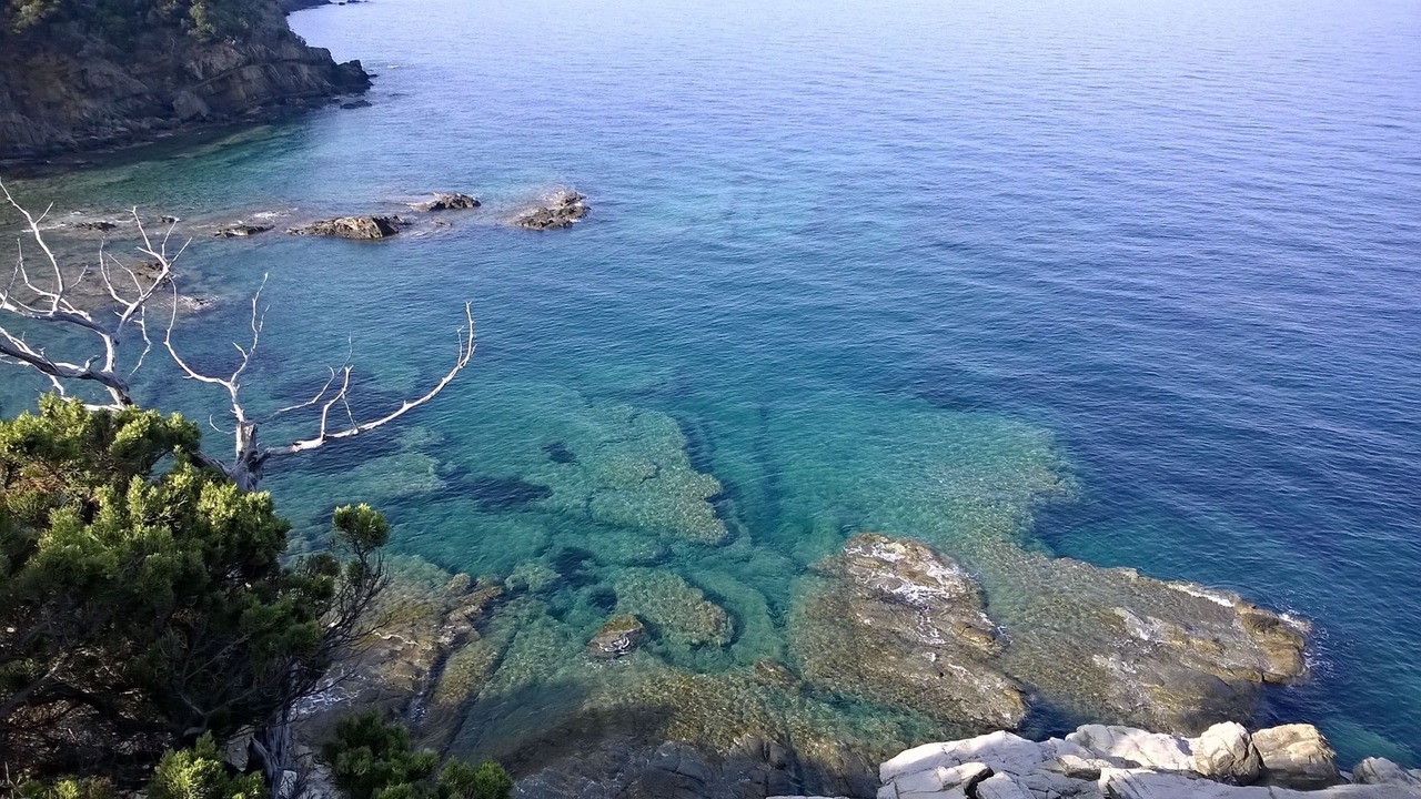 Photo of Outdoor in Campiglia Marittima
