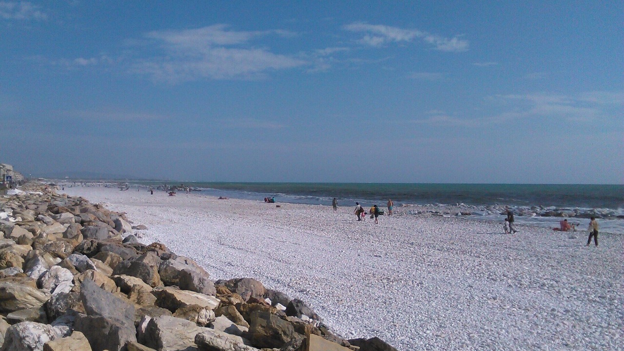 Photo of Others in Marina di Pisa