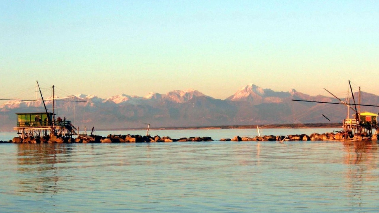 Photo of Outdoor in Marina di Pisa