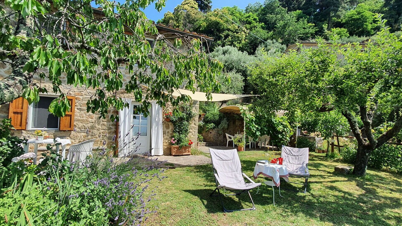Photo of Outdoor in Petrognano