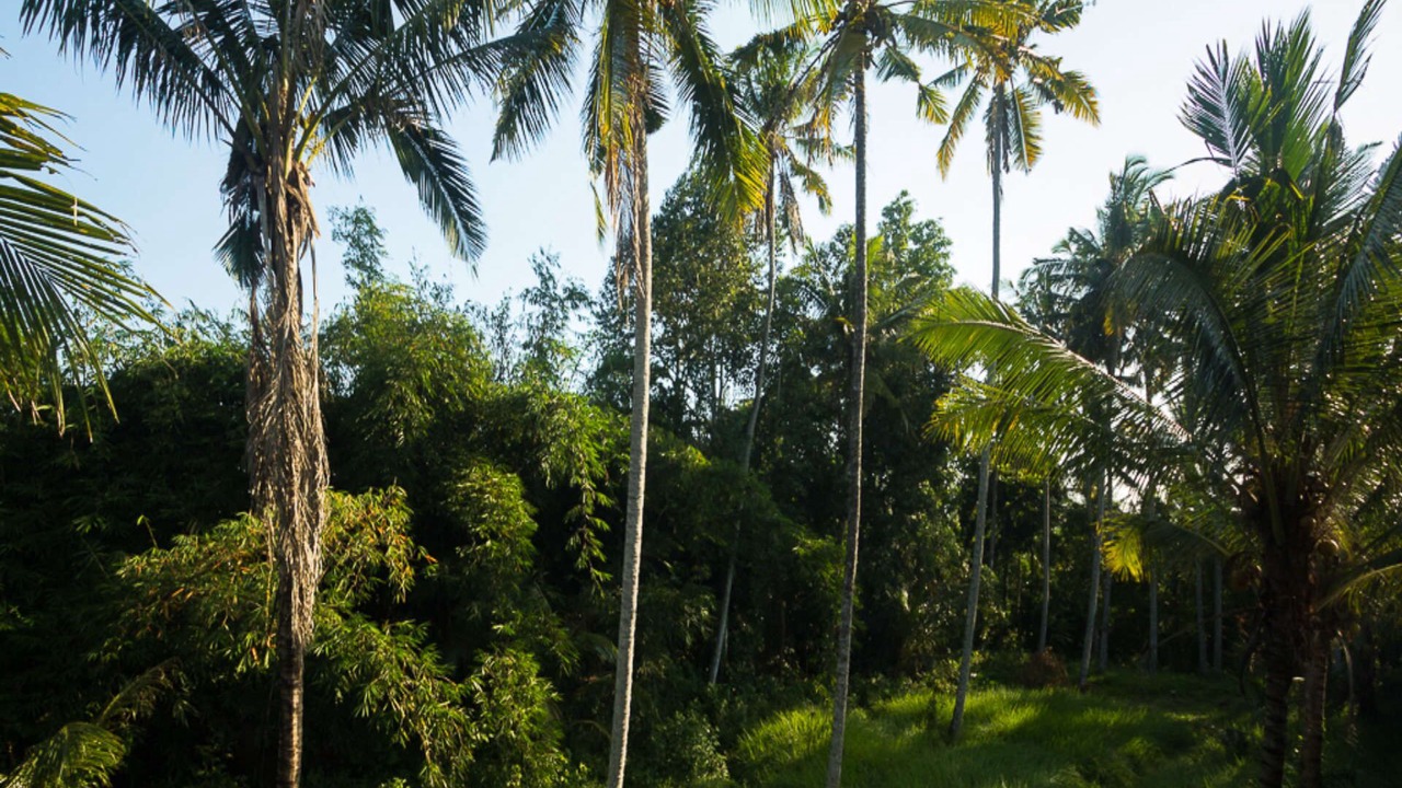 Photo of Outdoor in Melayang