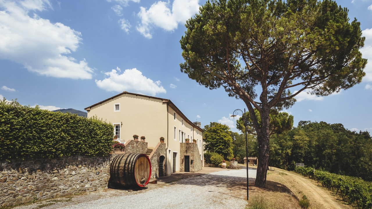 Photo of Outdoor in Capannori