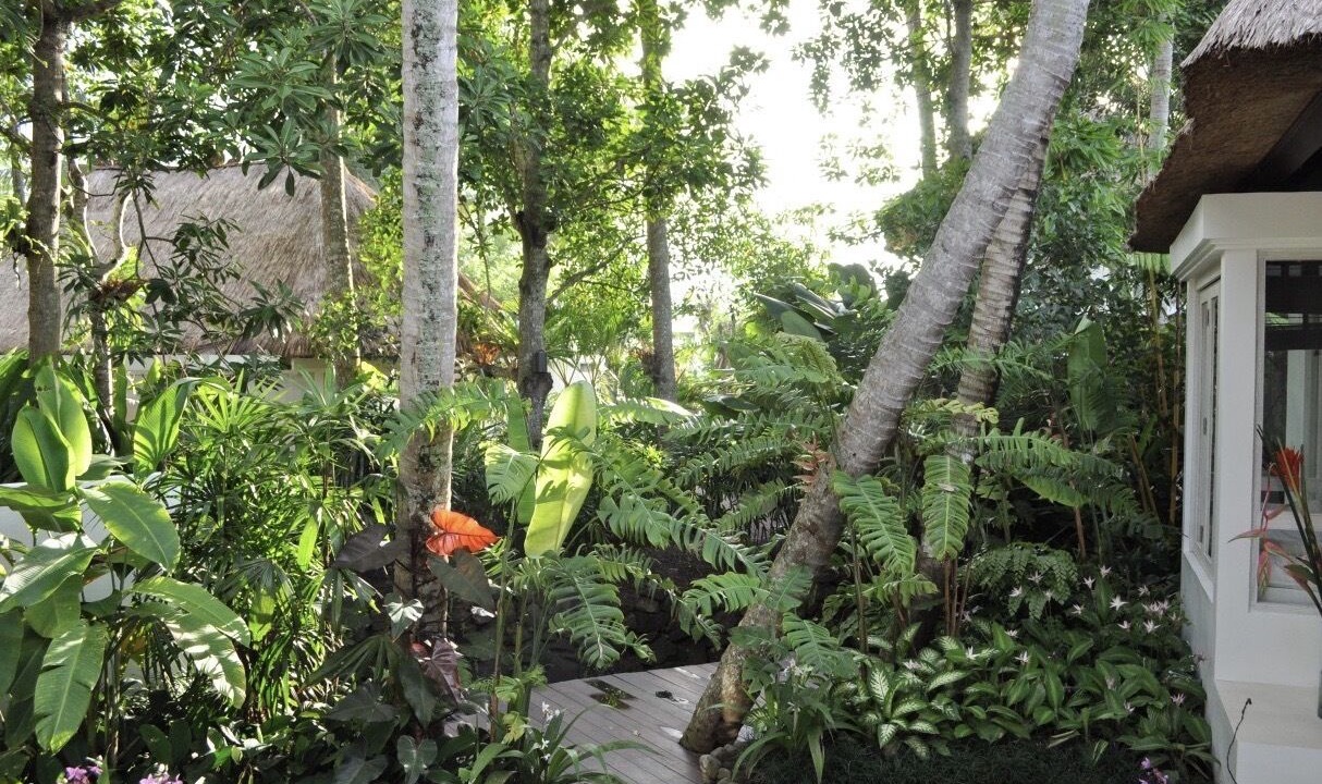 Photo of Outdoor in Lodtunduh