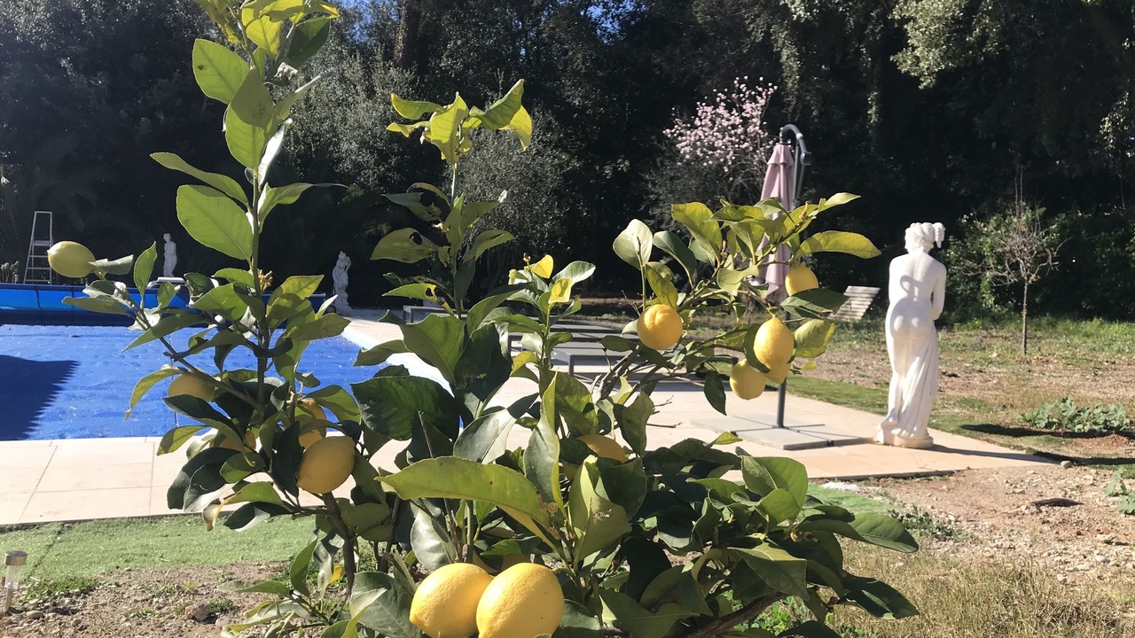 Photo of Outdoor in Roquefort-les-Pins