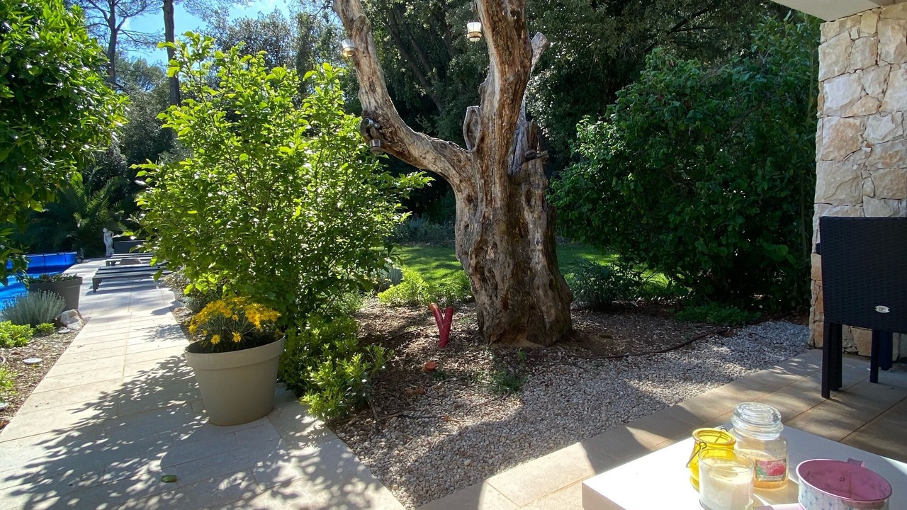 Photo of Patio Balcony in Roquefort-les-Pins