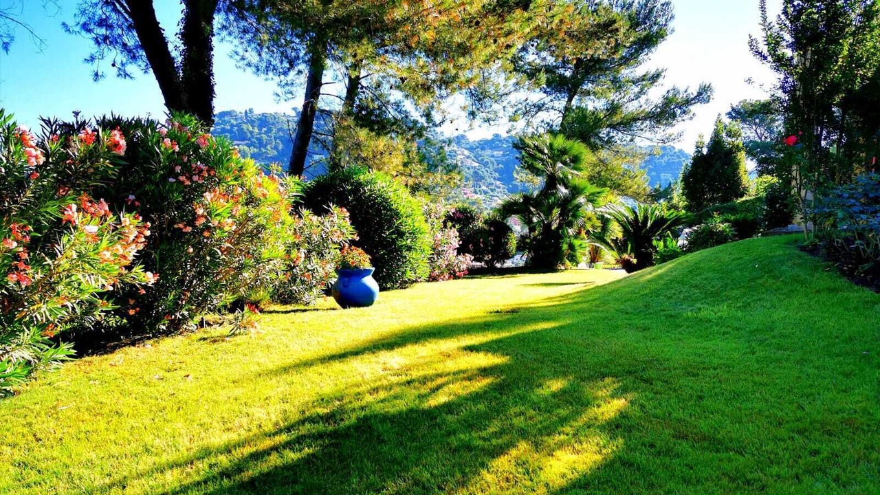 Photo of Outdoor in Drap