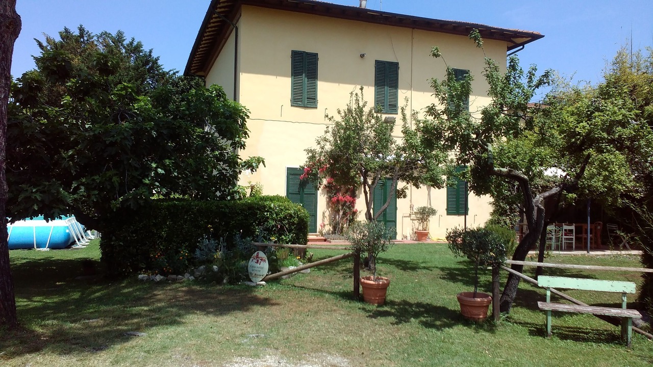 Photo of Outdoor in Torre del Lago Puccini