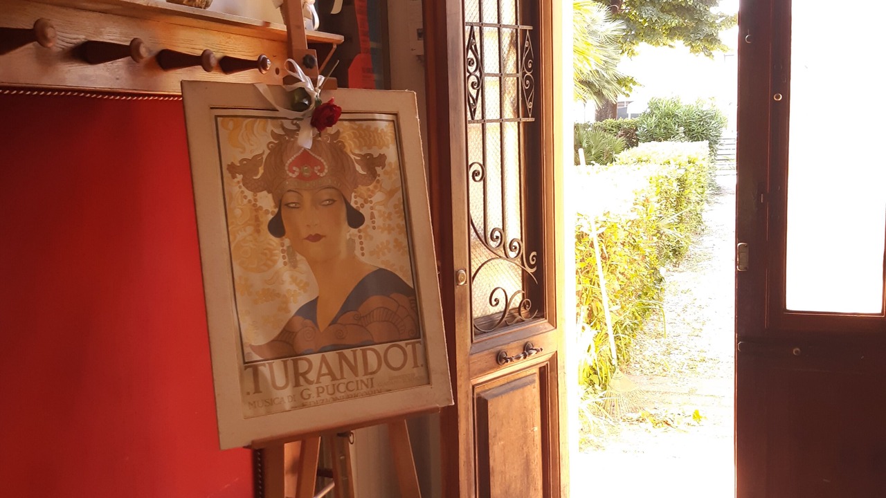 Photo of Others in Torre del Lago Puccini