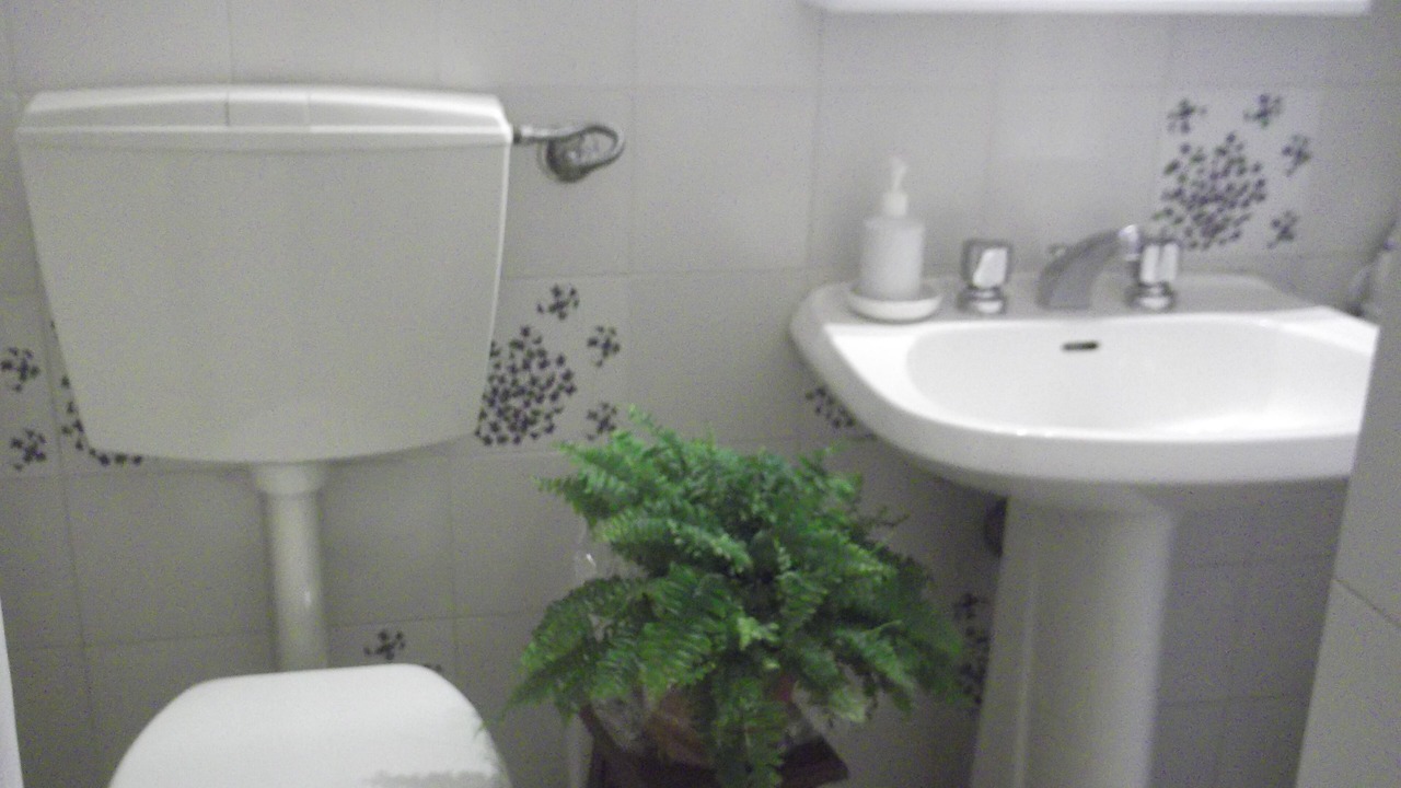 Photo of Bathroom in Torre del Lago Puccini
