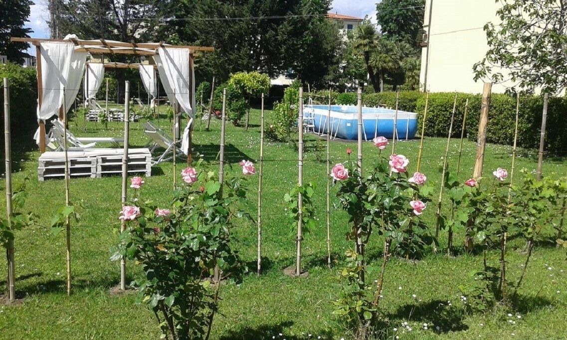 Photo of Outdoor in Torre del Lago Puccini