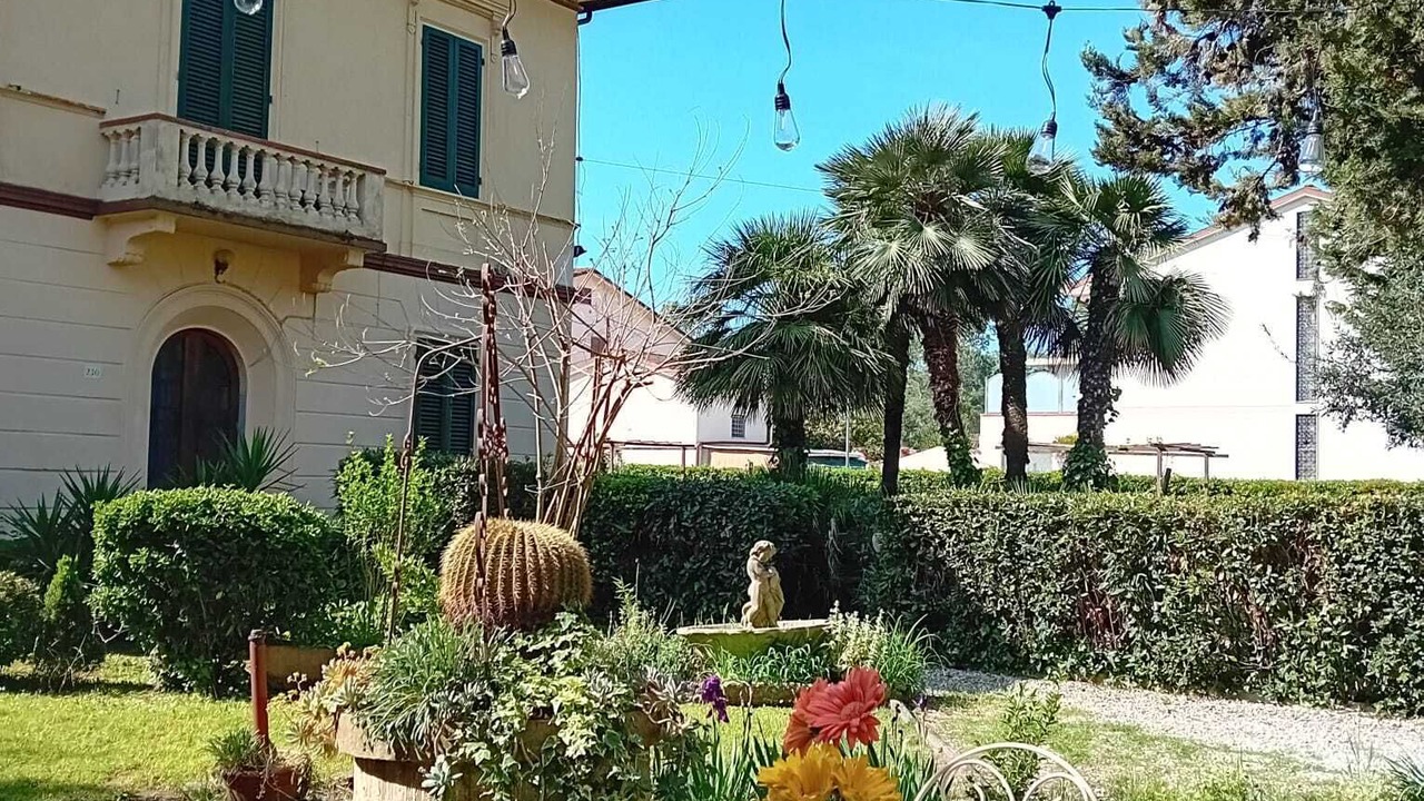Photo of Outdoor in Torre del Lago Puccini