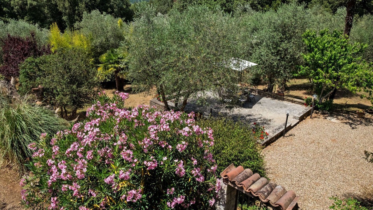 Photo of Outdoor in Simignano