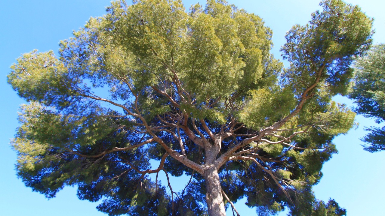 Photo of Outdoor in Cagnes-sur-Mer
