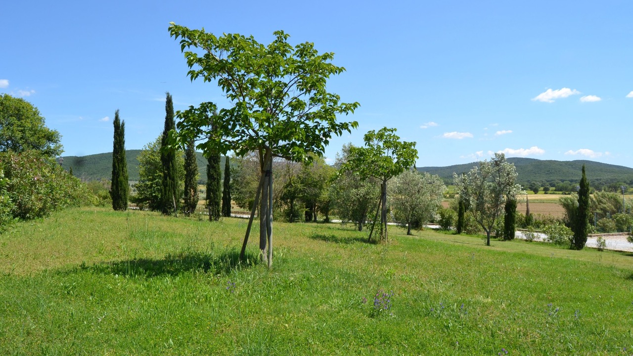 Photo of Outdoor in Casalappi