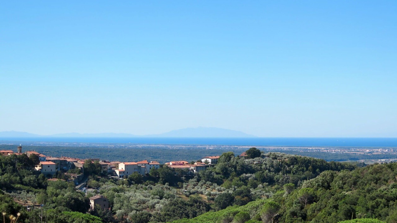 Photo of Others in Castellina Marittima