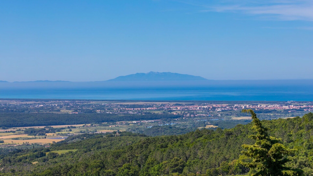 Photo of Others in Castellina Marittima