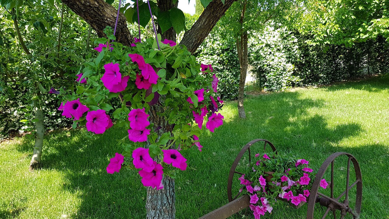 Photo of Outdoor in Alberese