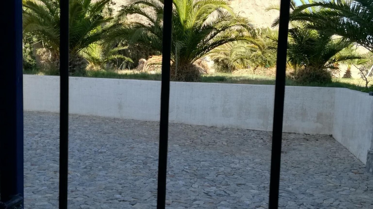 Photo of Others in Perissa