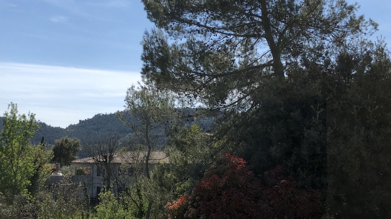Photo of Outdoor in Bagnols-en-Foret