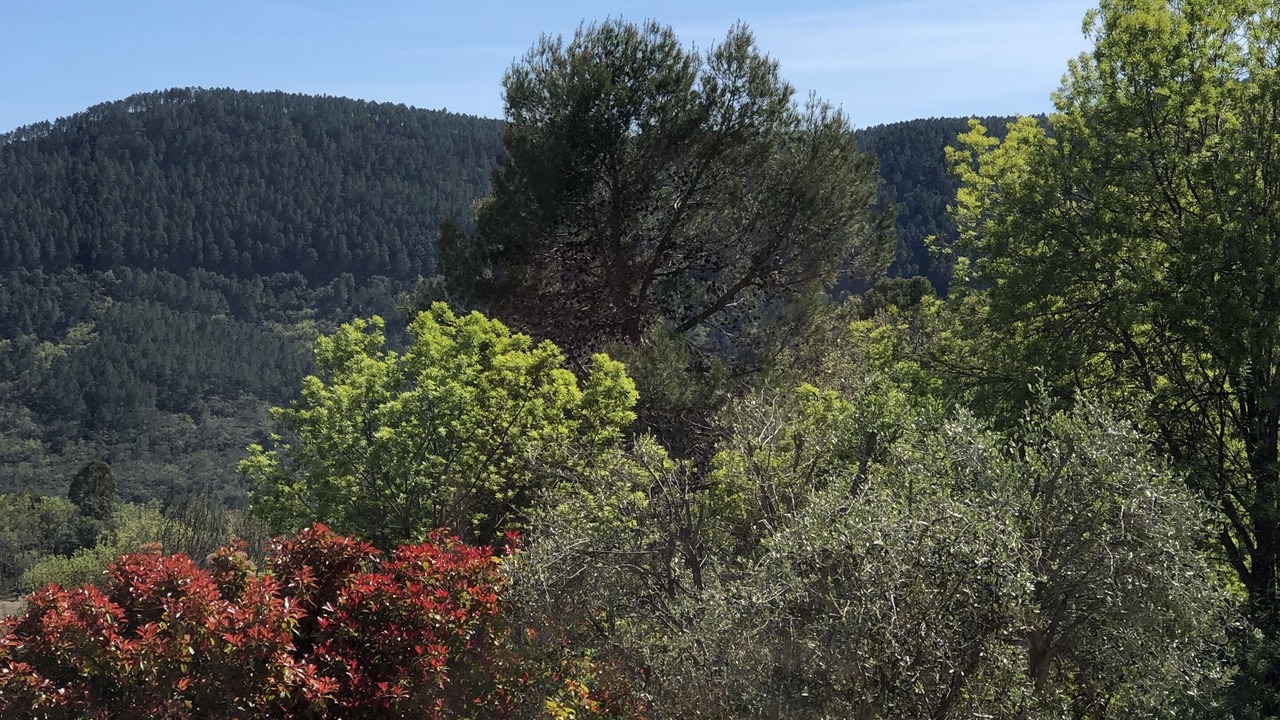 Photo of Outdoor in Bagnols-en-Foret