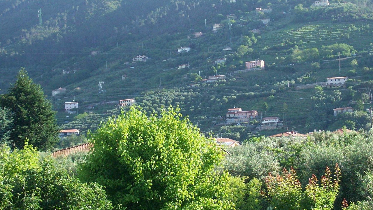 Photo of Others in Ripa-Pozzi-Ponterosso