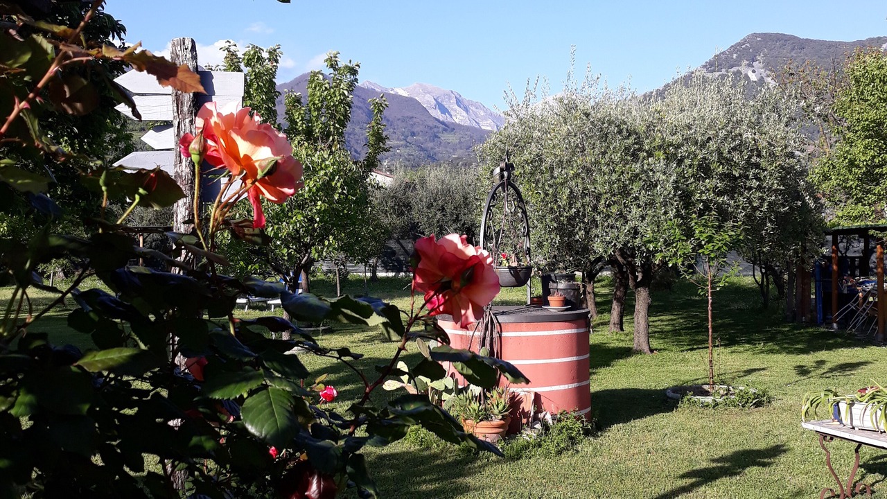 Photo of Others in Ripa-Pozzi-Ponterosso