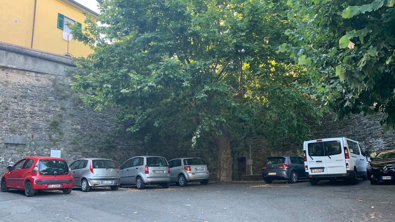 Photo of Outdoor in Caprigliola