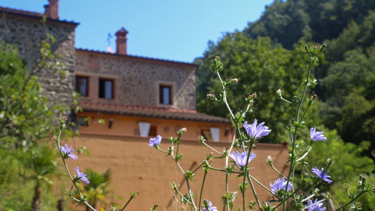 Photo of Outdoor in Pontito