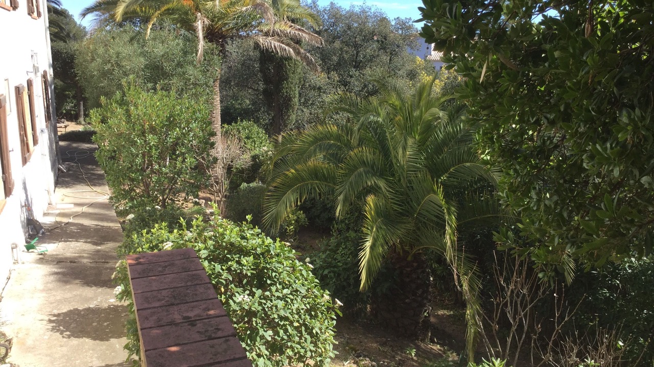 Photo of Outdoor in Saint-Aygulf