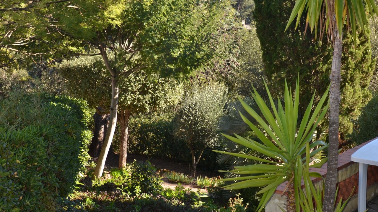 Photo of Outdoor in Saint-Aygulf