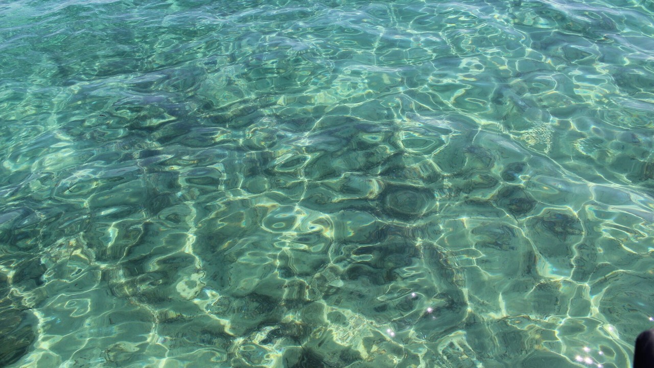 Photo of Outdoor in Grimaud