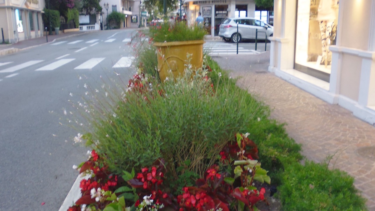 Photo of Outdoor in Beaulieu-sur-Mer