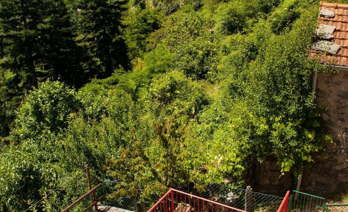 Photo of Outdoor in Montefegatesi