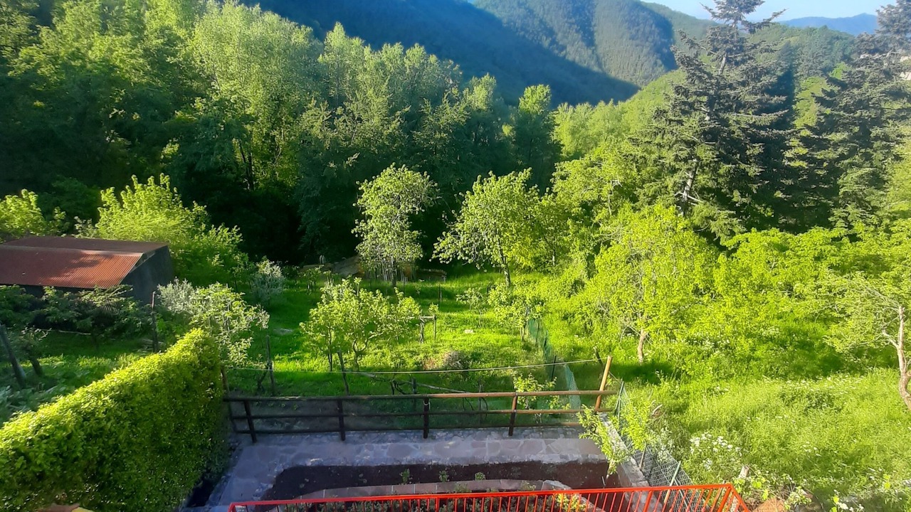 Photo of Outdoor in Montefegatesi