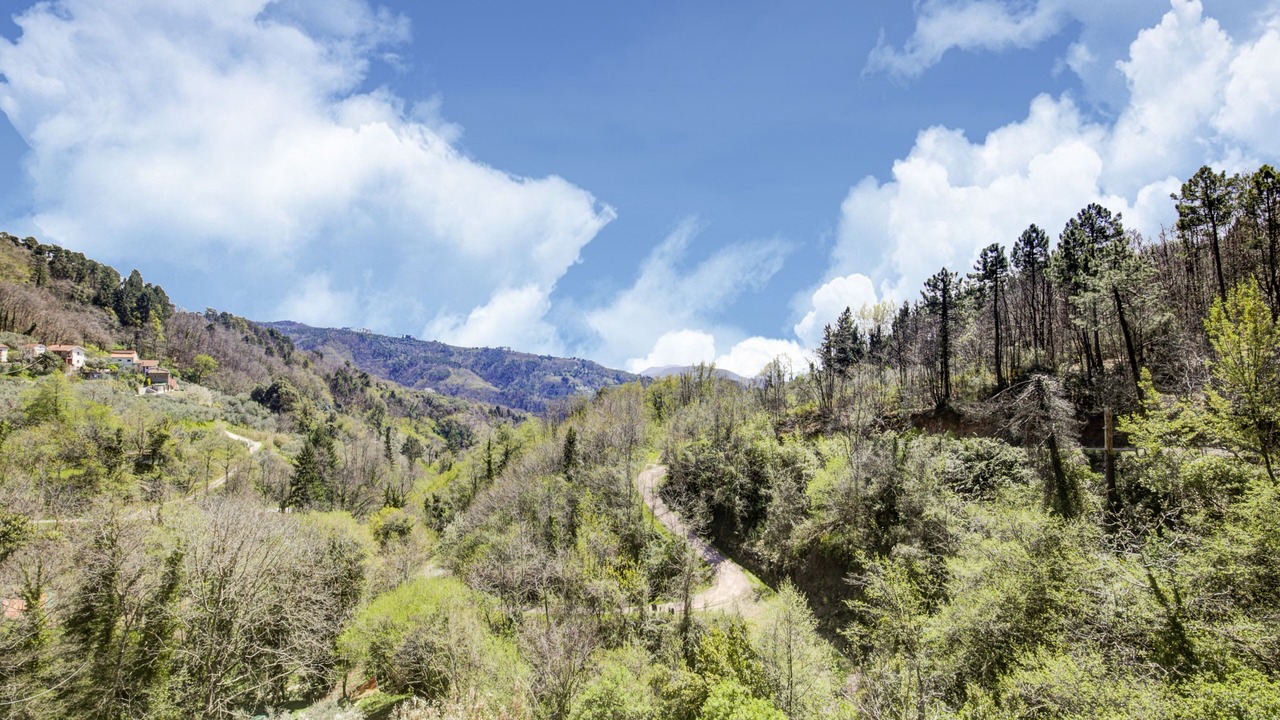 Photo of Outdoor in Macchino