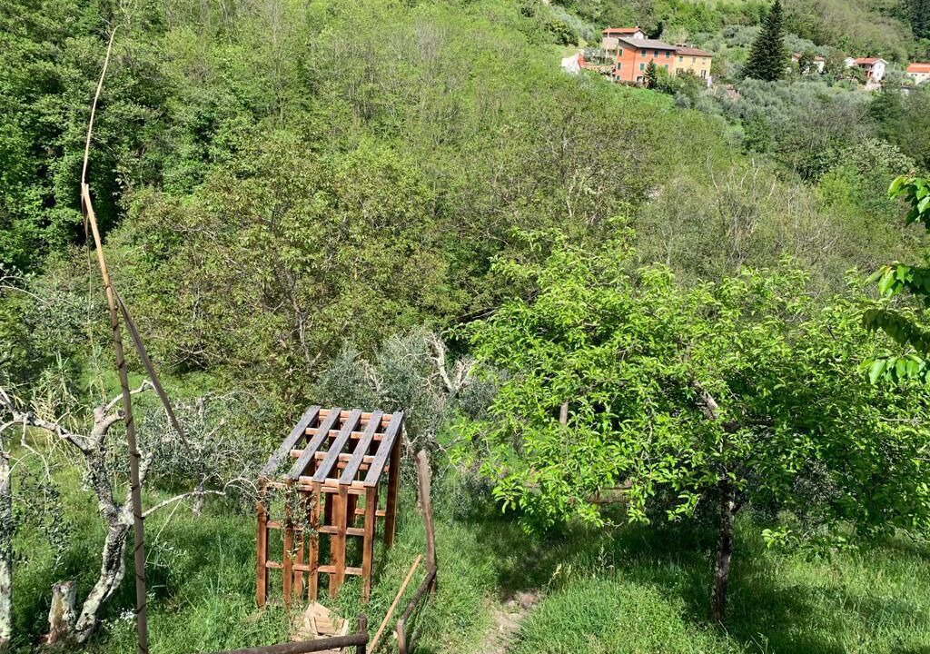 Photo of Outdoor in Macchino