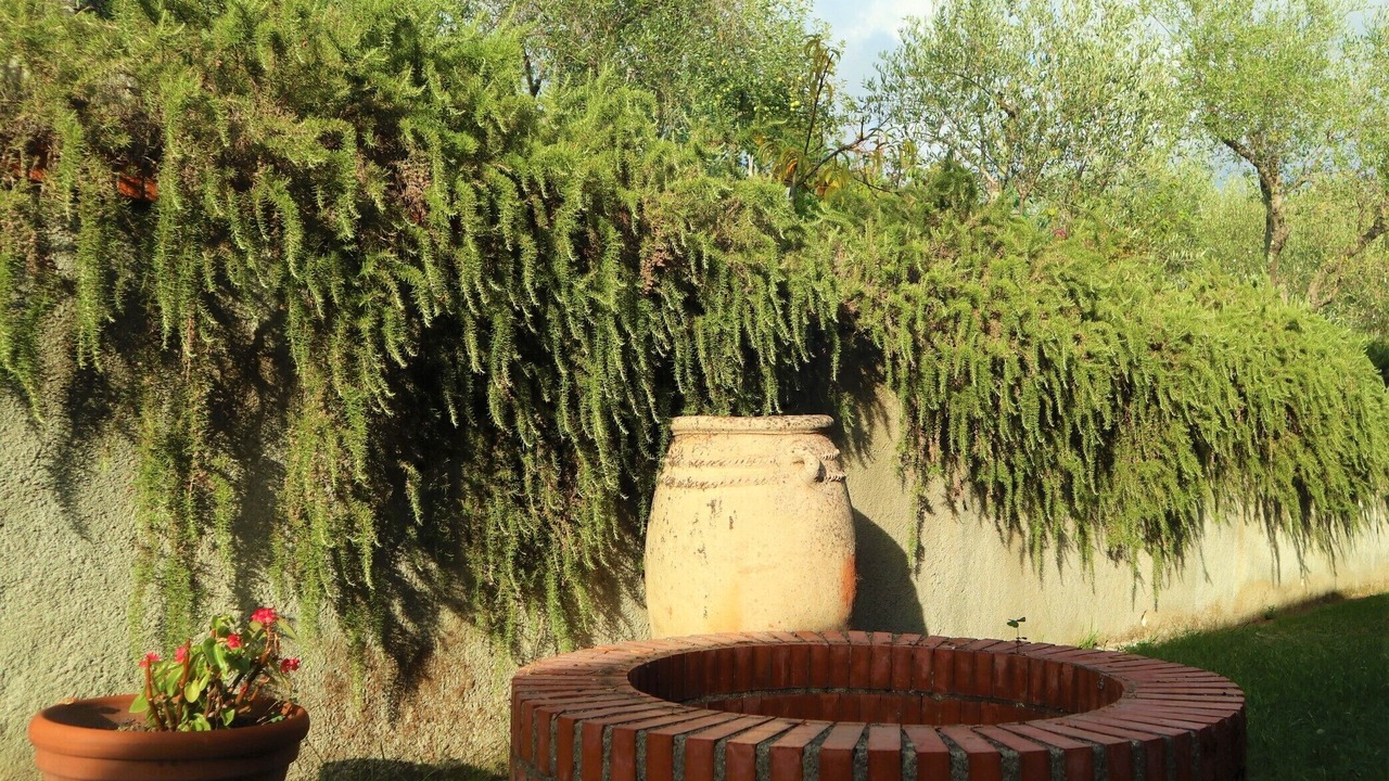 Photo of Outdoor in Fosdinovo