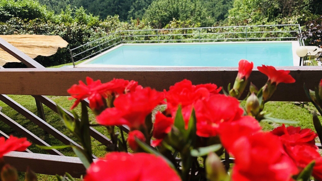 Photo of Outdoor in Arlia