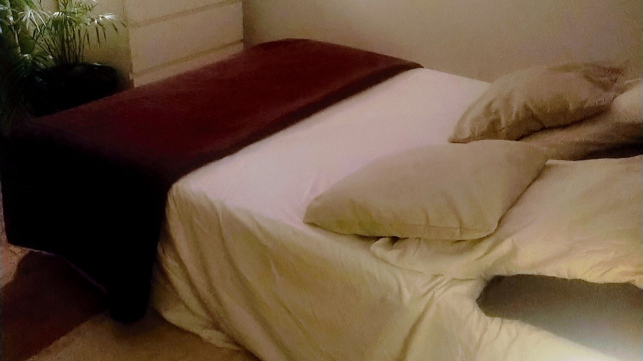 Photo of Bedroom in Peymeinade