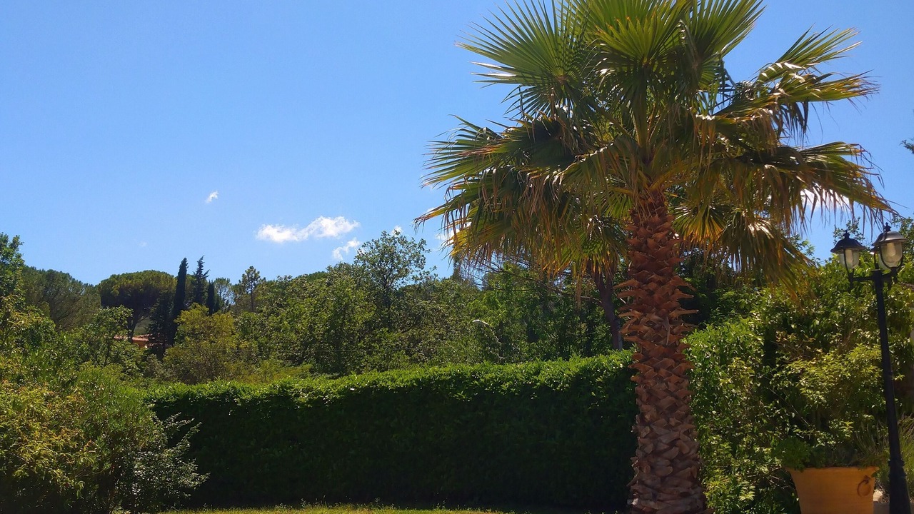 Photo of Outdoor in Peymeinade
