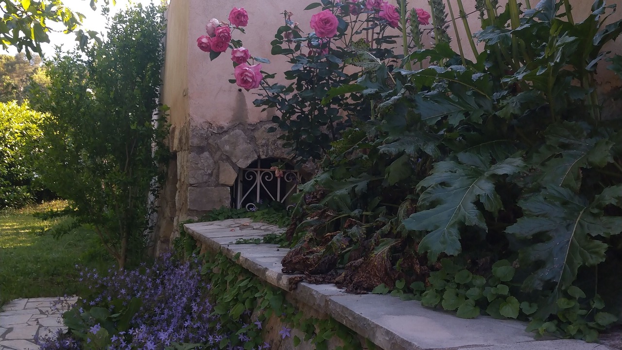 Photo of Outdoor in Peymeinade