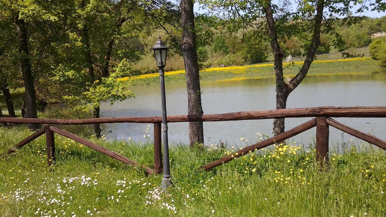 Photo of Outdoor in Reggello