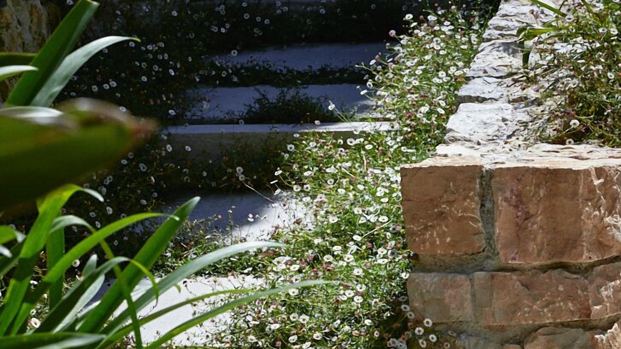 Photo of Outdoor in Le Cannet
