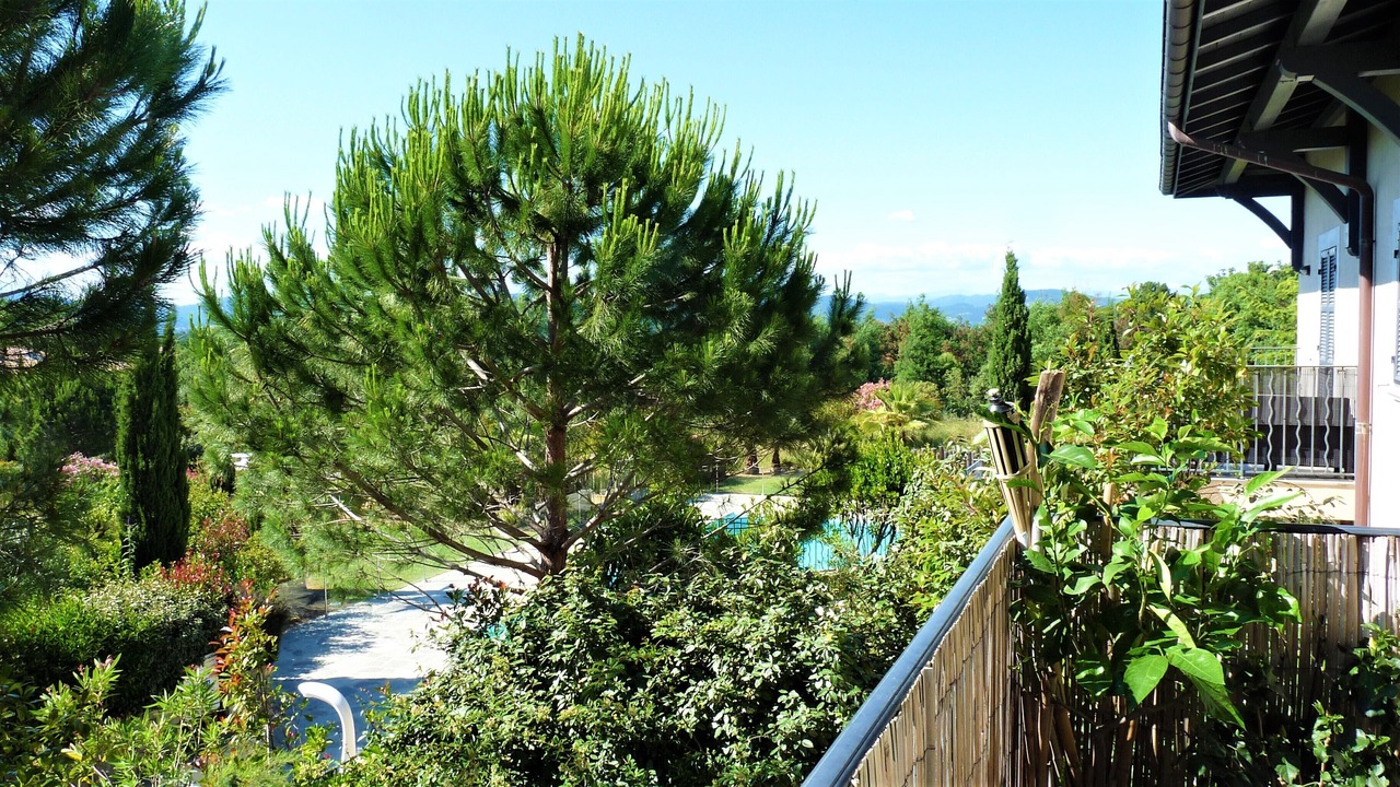 Photo of Outdoor in La Croix-Valmer