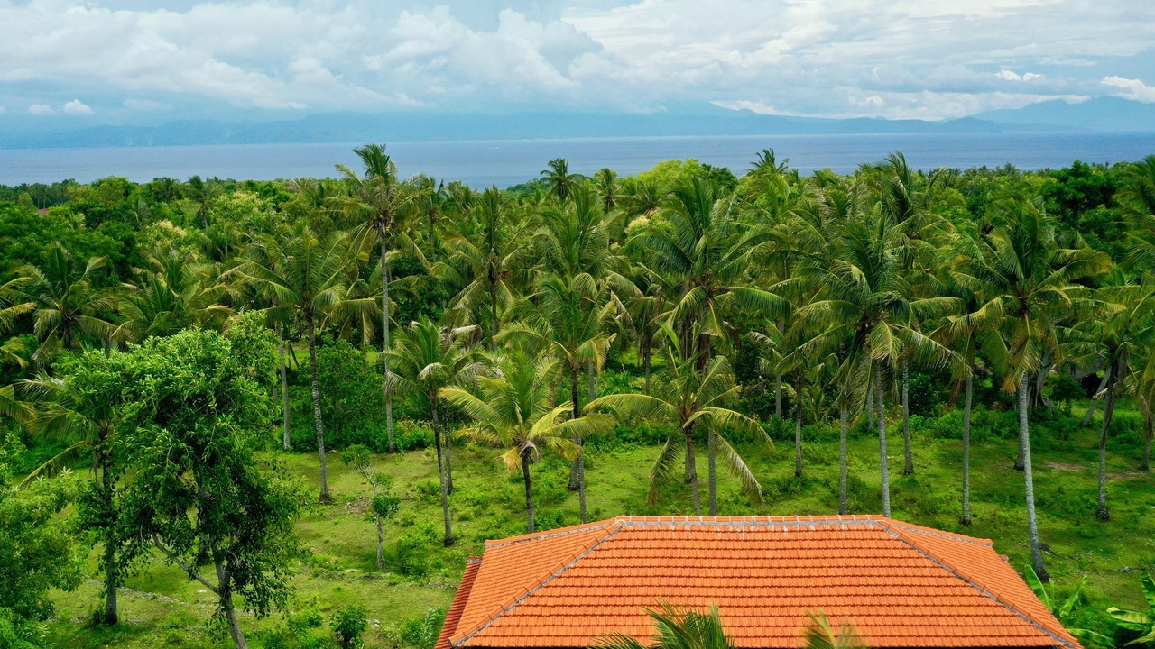 Photo of Others in Penida Island