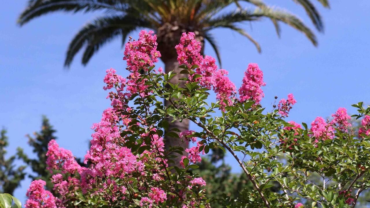 Photo of Outdoor in Cannes