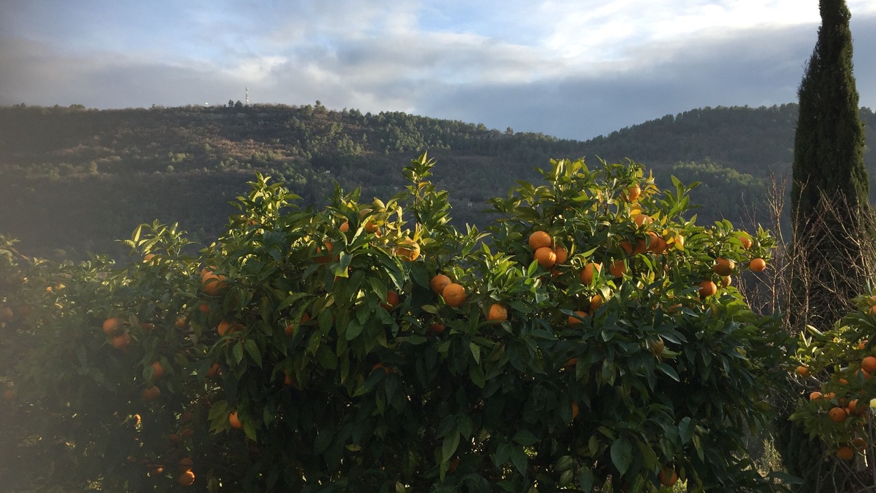 Photo of Outdoor in Le Bar-sur-Loup