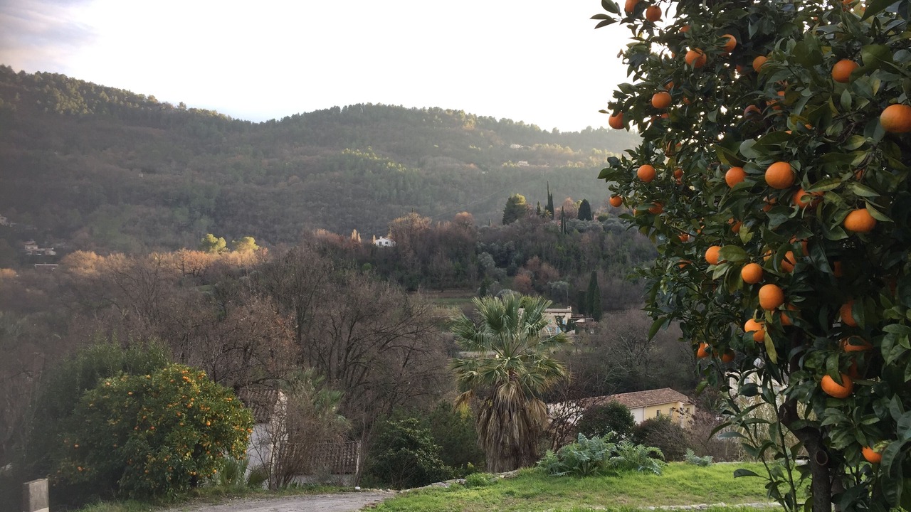 Photo of Outdoor in Le Bar-sur-Loup