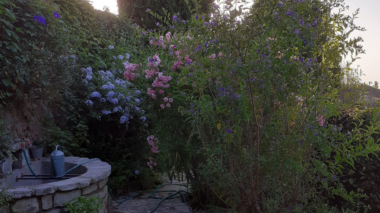 Photo of Outdoor in Speracedes
